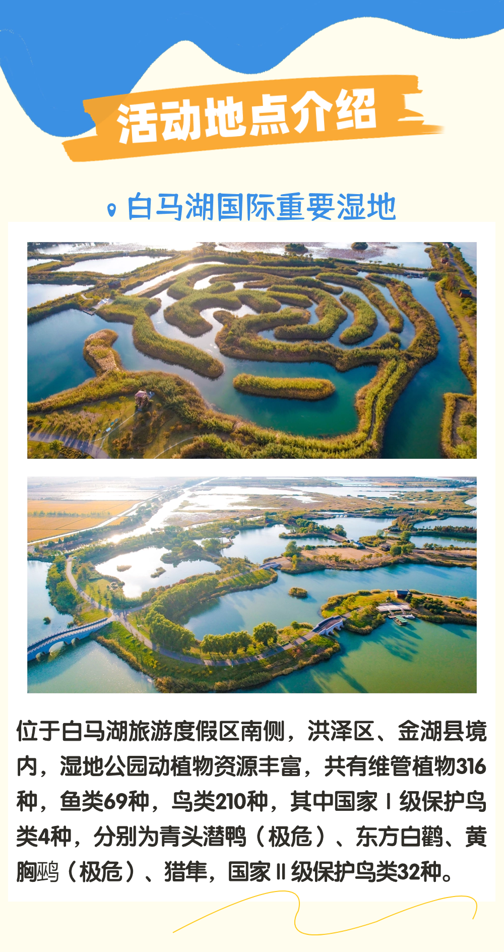 Top1����רҵ������Ѷ����������ƽ̨