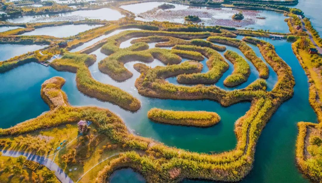 Top1����רҵ������Ѷ����������ƽ̨