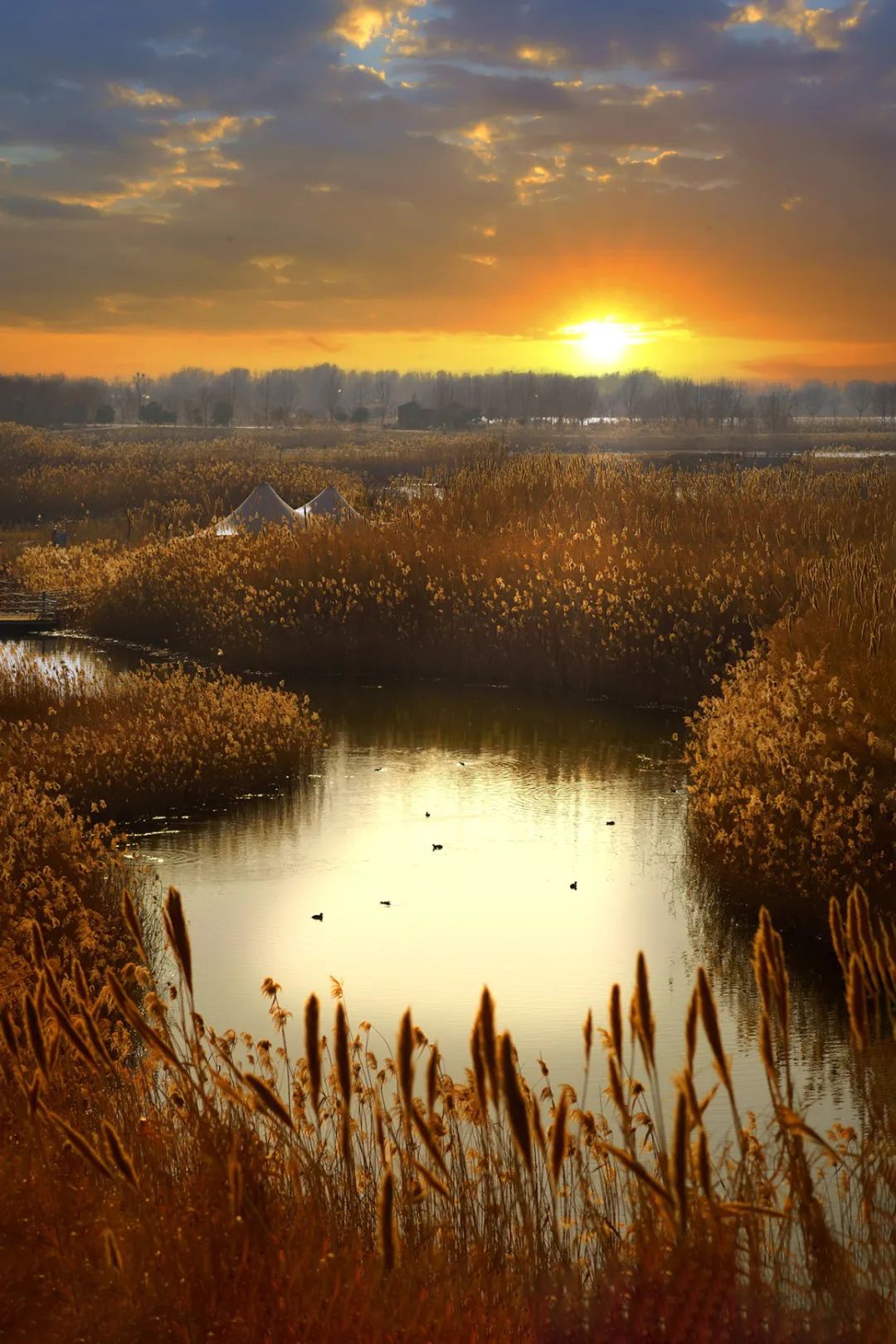 Top1ÌåÓýרҵÌåÓý×ÊѶÓëÈüÊÂÆÊÎöƽ̨