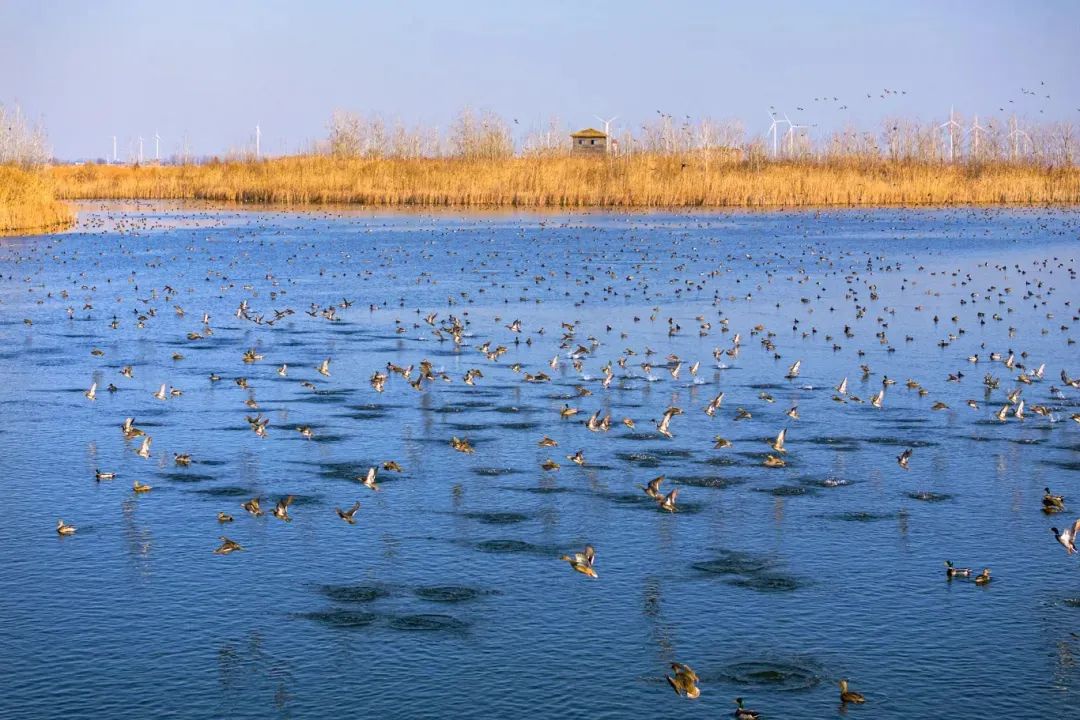 Top1����רҵ������Ѷ����������ƽ̨