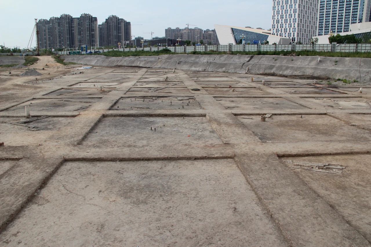 Top1����רҵ������Ѷ����������ƽ̨