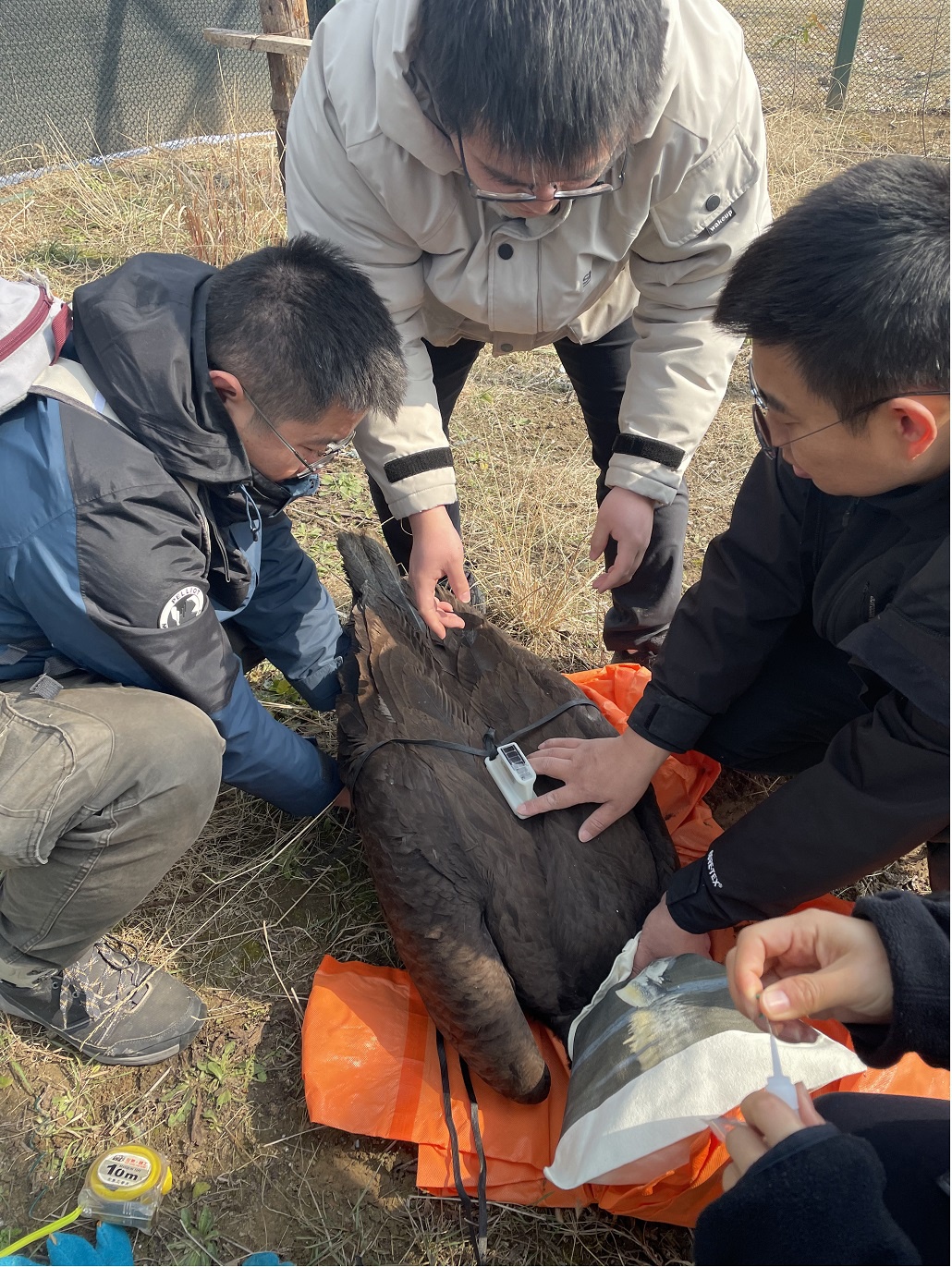 Top1����רҵ������Ѷ����������ƽ̨