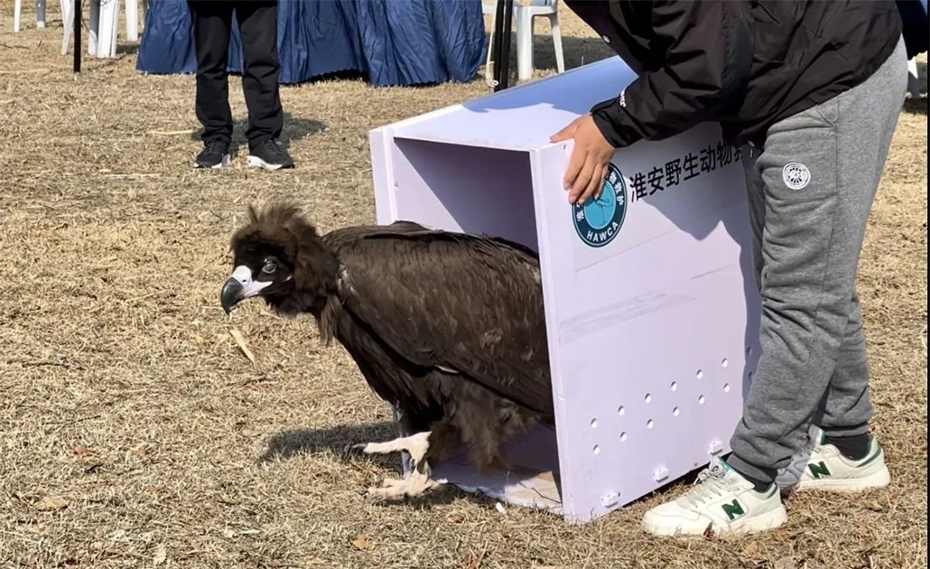 Top1����רҵ������Ѷ����������ƽ̨