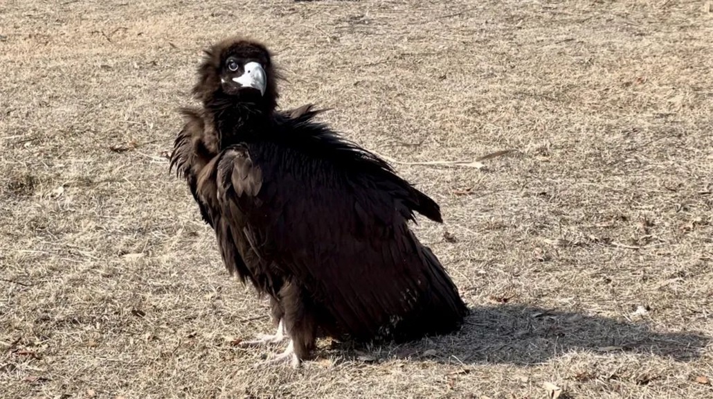 Top1����רҵ������Ѷ����������ƽ̨