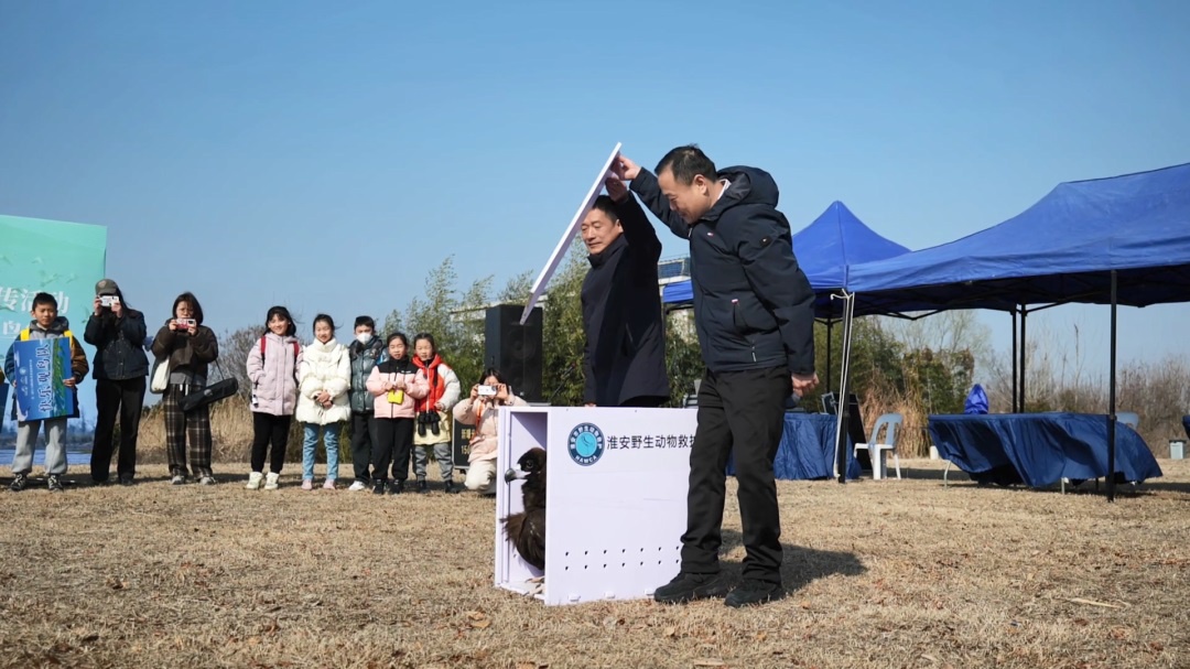 Top1ÌåÓýרҵÌåÓý×ÊѶÓëÈüÊÂÆÊÎöƽ̨