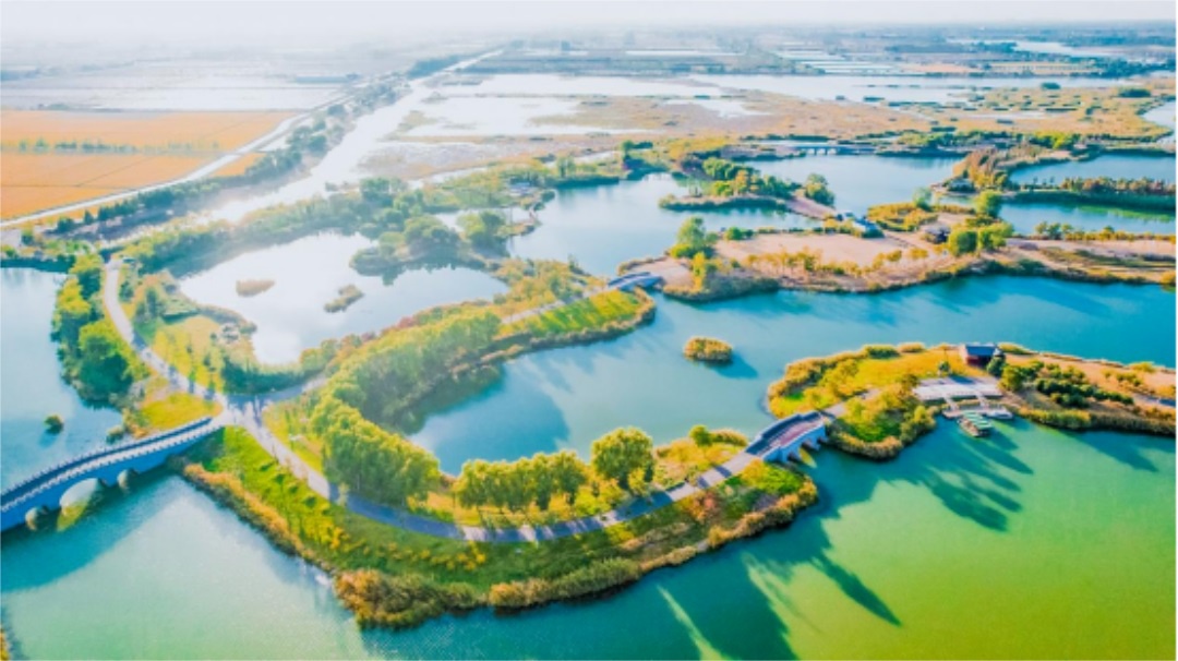 Top1ÌåÓýרҵÌåÓý×ÊѶÓëÈüÊÂÆÊÎöƽ̨