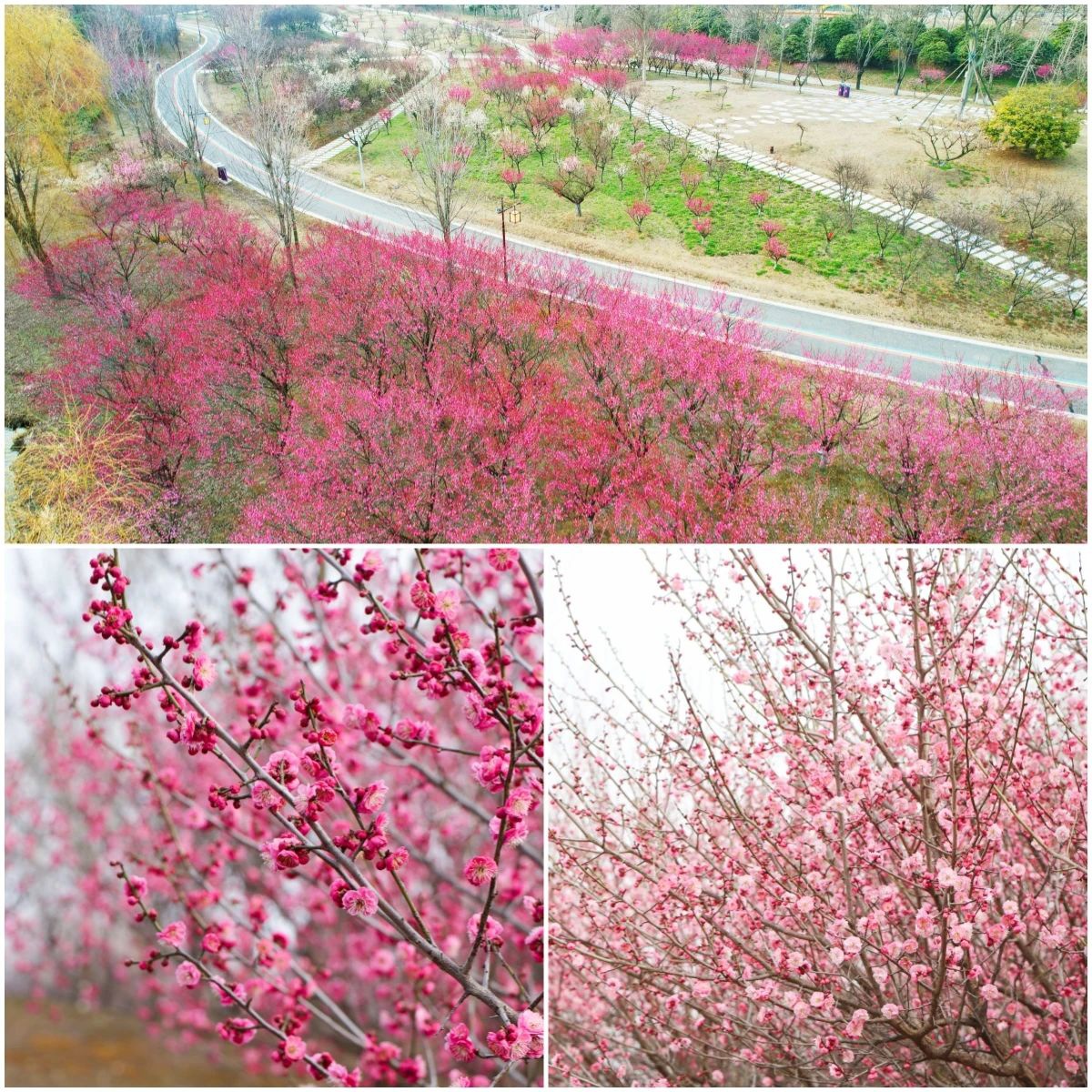 Top1����רҵ������Ѷ����������ƽ̨