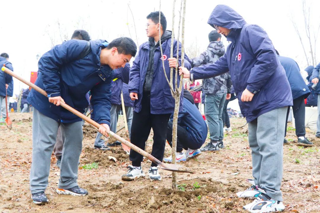 Top1����רҵ������Ѷ����������ƽ̨