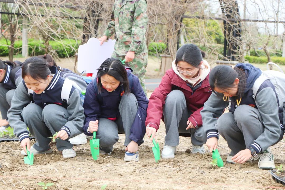 Top1����רҵ������Ѷ����������ƽ̨