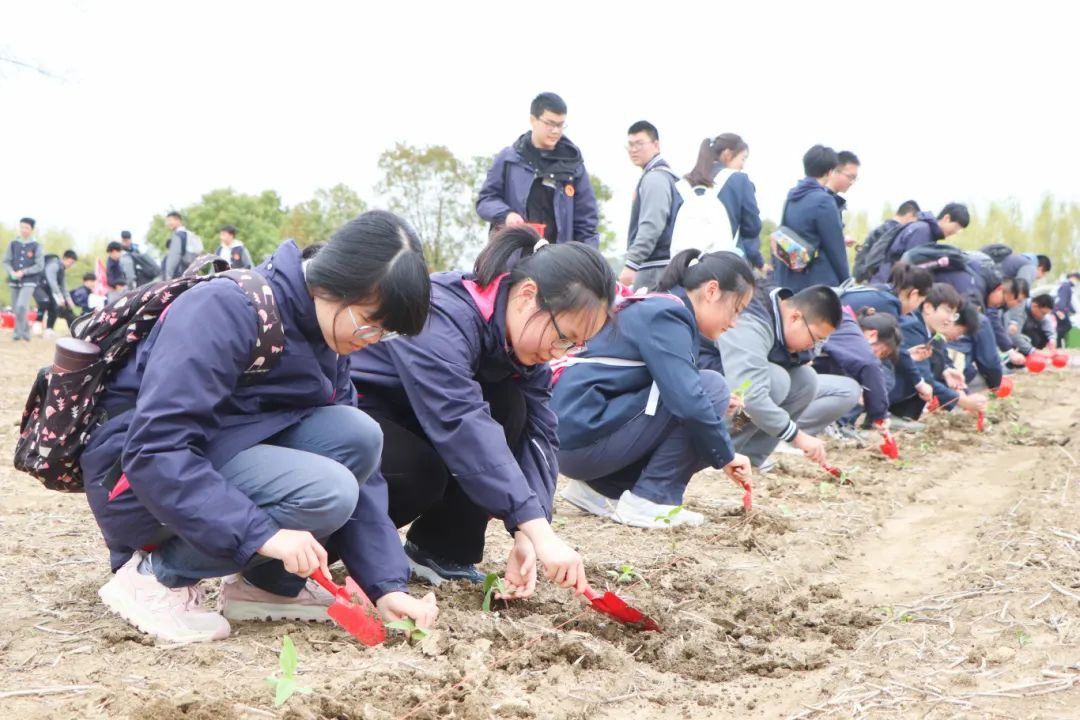 Top1����רҵ������Ѷ����������ƽ̨