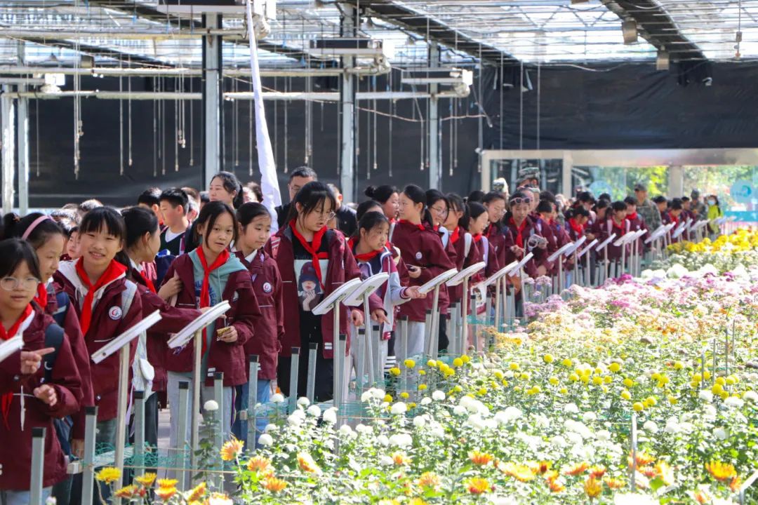 Top1����רҵ������Ѷ����������ƽ̨