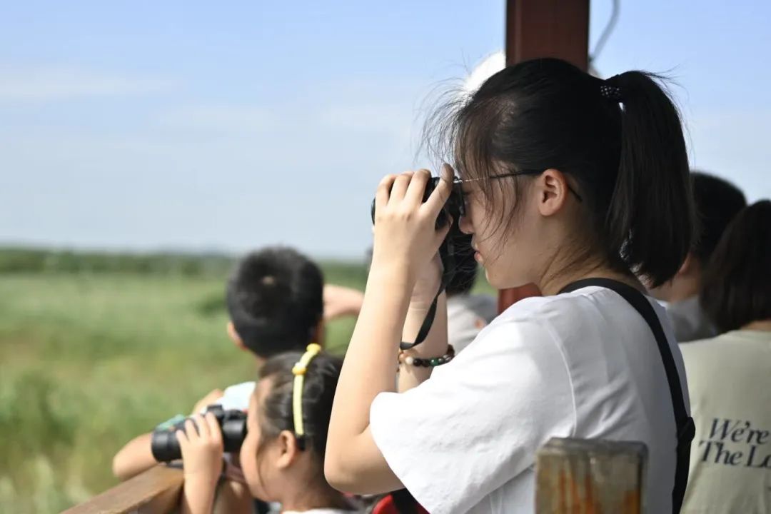 Top1����רҵ������Ѷ����������ƽ̨