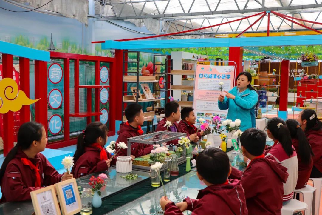 Top1����רҵ������Ѷ����������ƽ̨