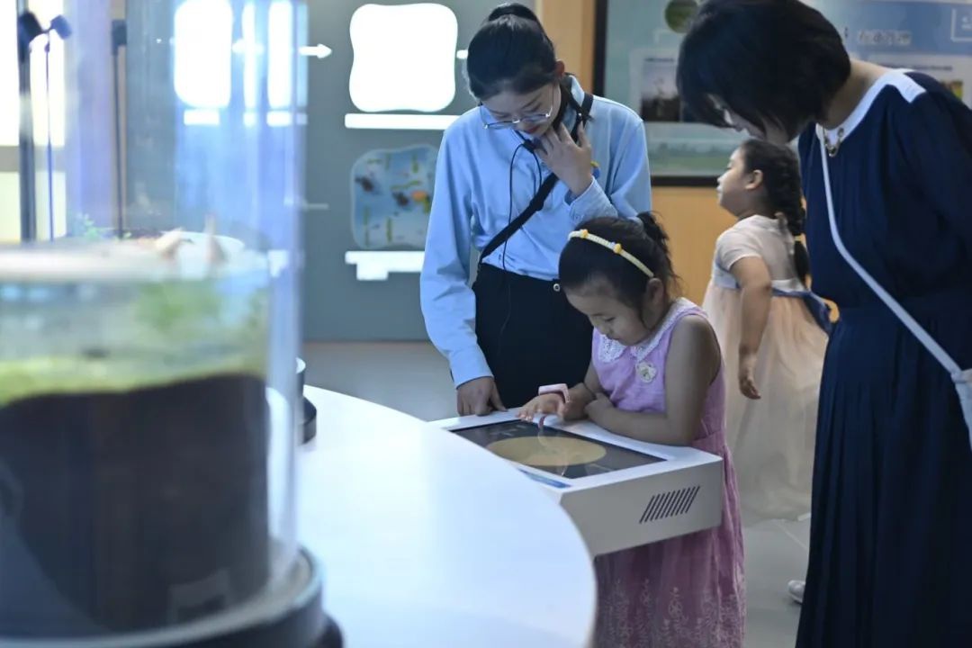 Top1����רҵ������Ѷ����������ƽ̨