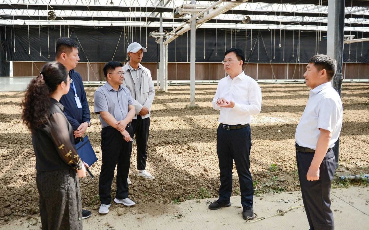 Top1����רҵ������Ѷ����������ƽ̨