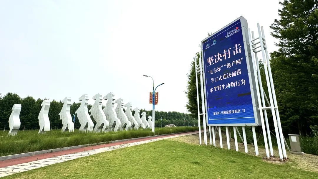 Top1����רҵ������Ѷ����������ƽ̨