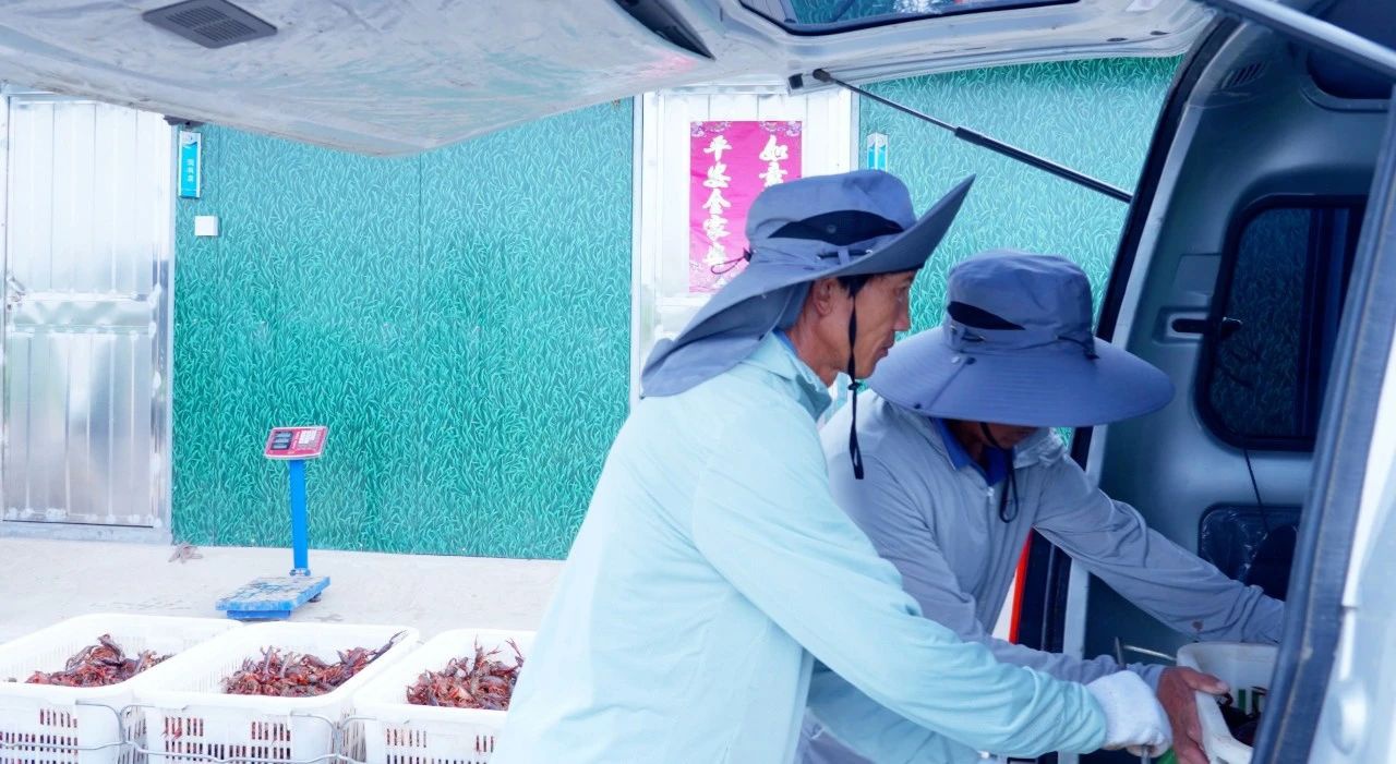 Top1����רҵ������Ѷ����������ƽ̨