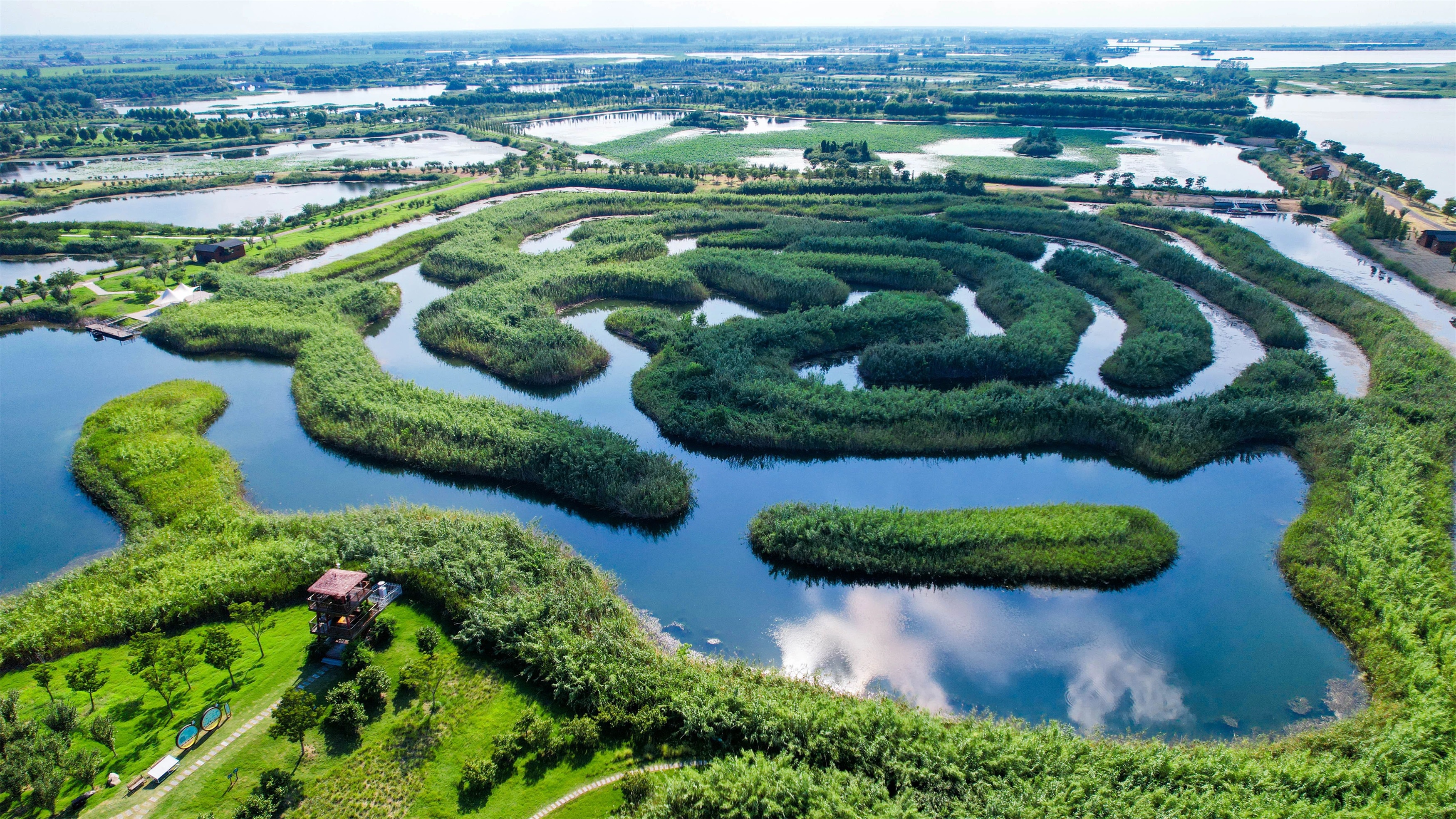 Top1����רҵ������Ѷ����������ƽ̨