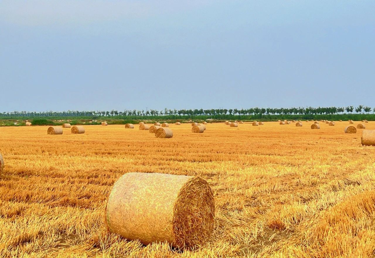 Top1����רҵ������Ѷ����������ƽ̨