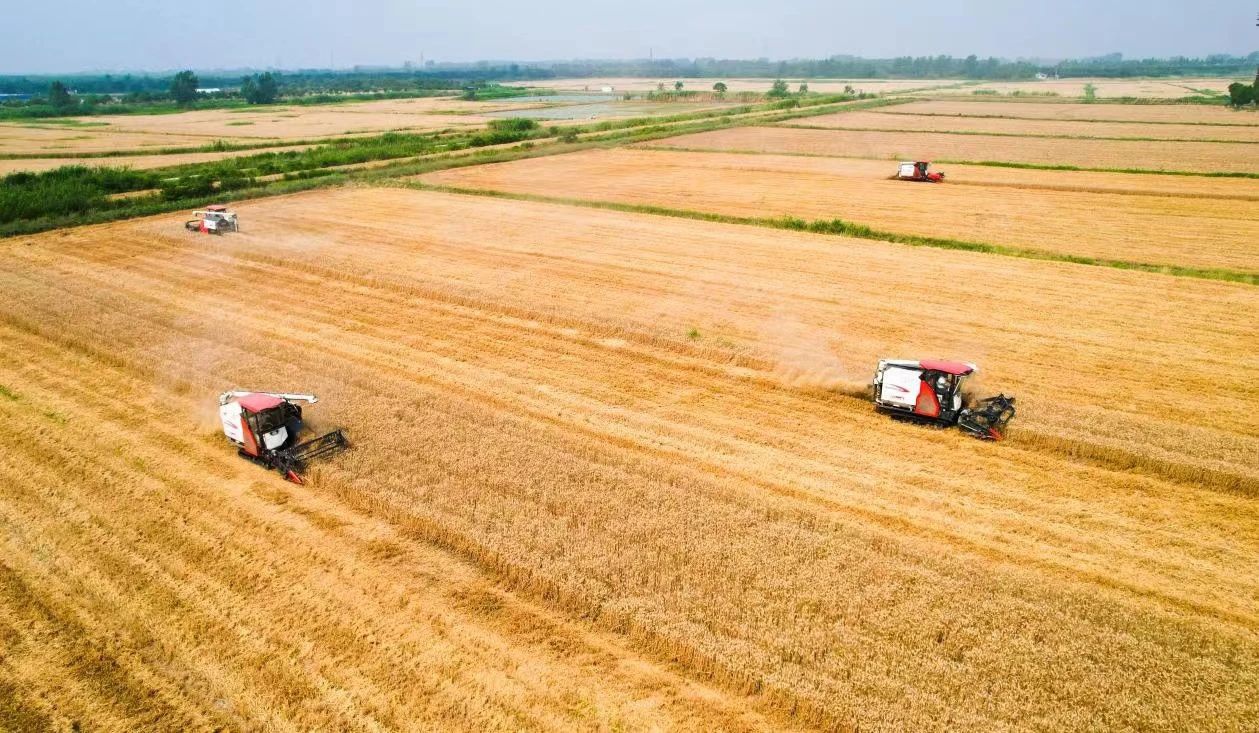 Top1����רҵ������Ѷ����������ƽ̨