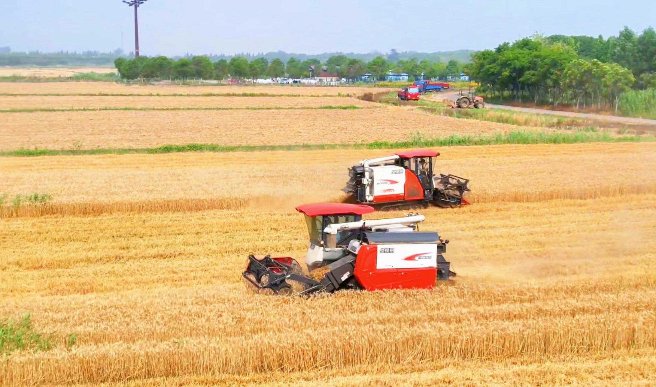 Top1����רҵ������Ѷ����������ƽ̨