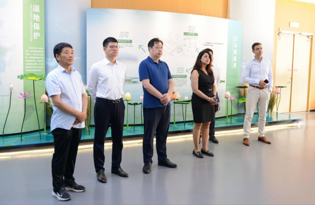 Top1����רҵ������Ѷ����������ƽ̨