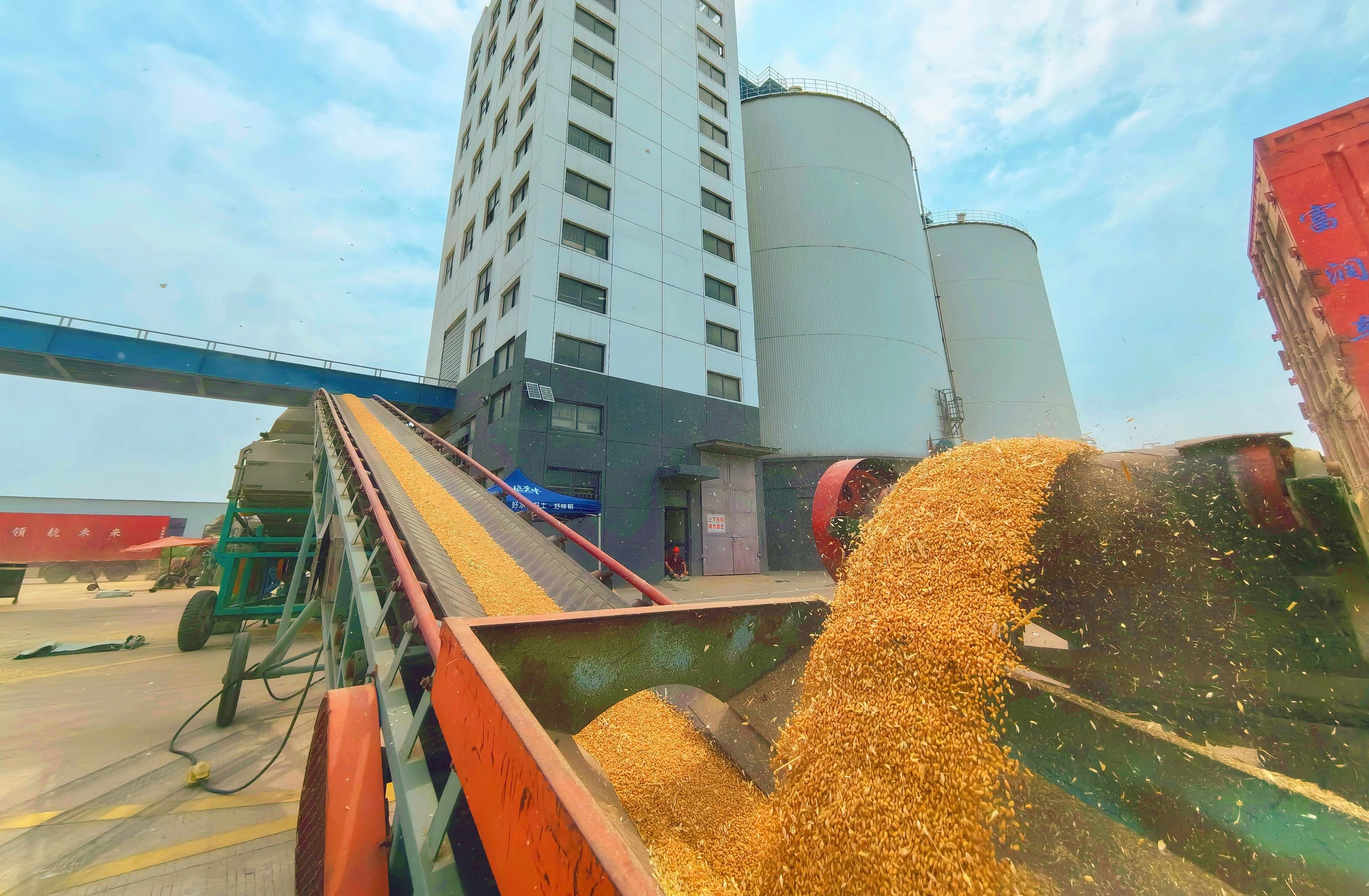 Top1����רҵ������Ѷ����������ƽ̨