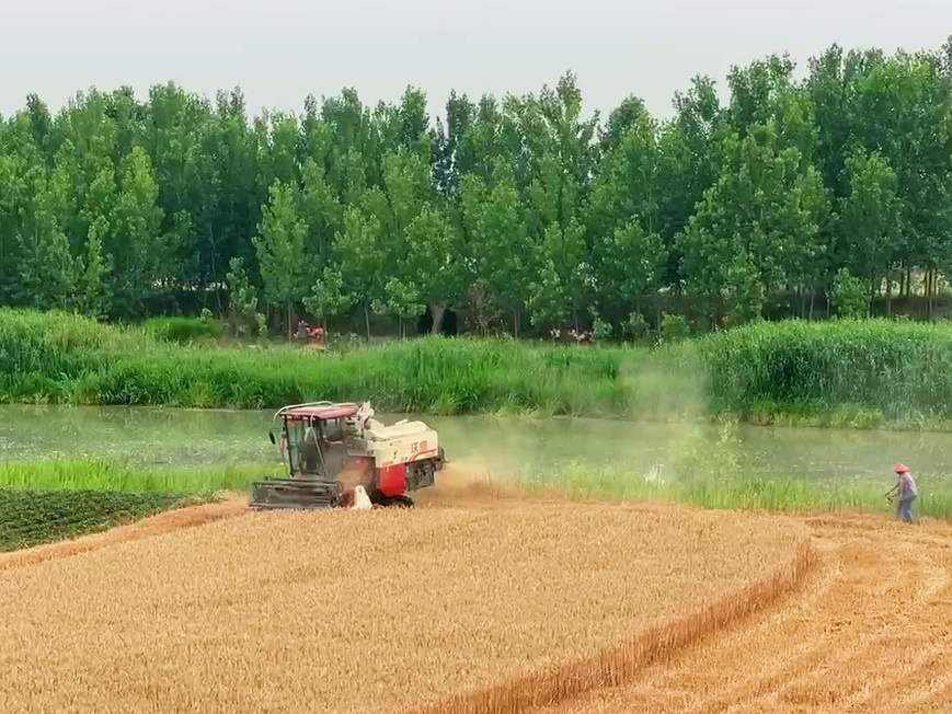 Top1体育专业体育资讯与赛事剖析平台