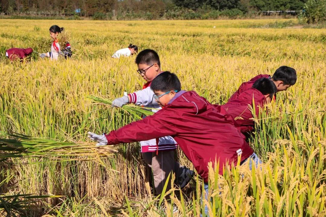 Top1����רҵ������Ѷ����������ƽ̨