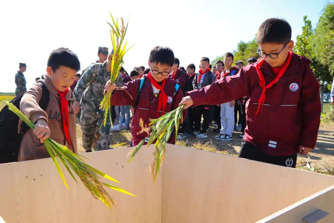 Top1����רҵ������Ѷ����������ƽ̨