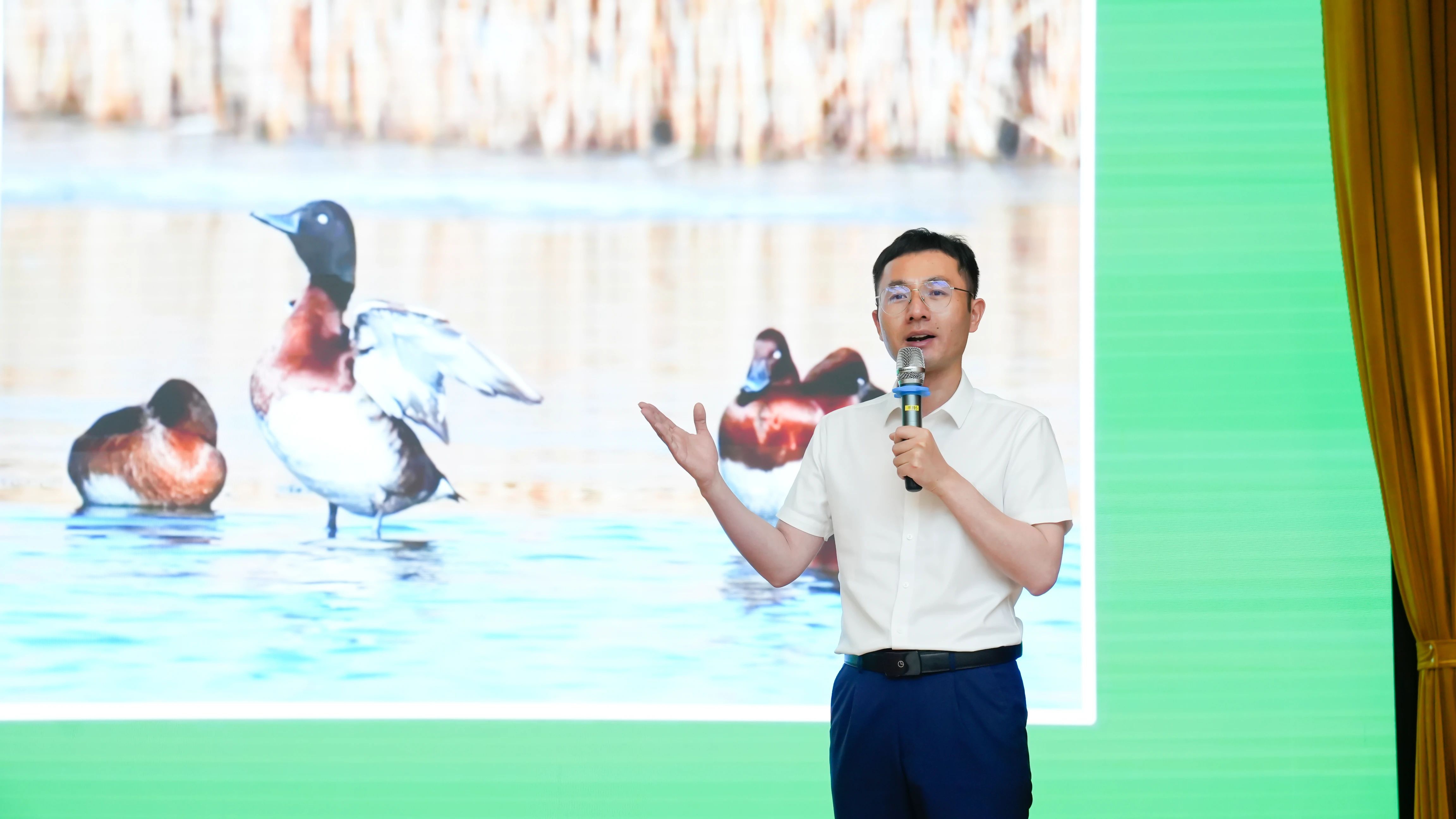 Top1����רҵ������Ѷ����������ƽ̨