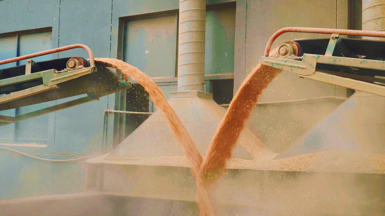 Top1����רҵ������Ѷ����������ƽ̨