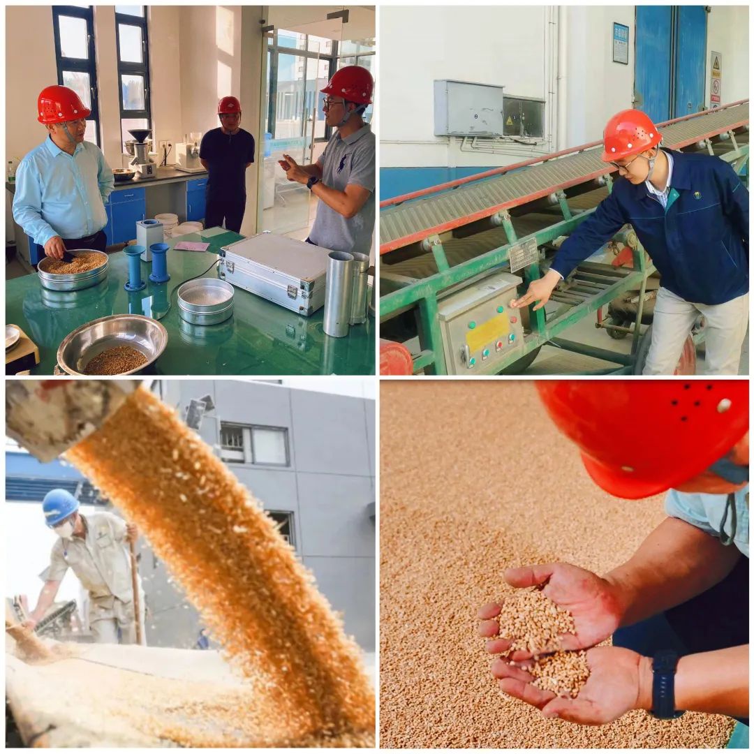 Top1����רҵ������Ѷ����������ƽ̨