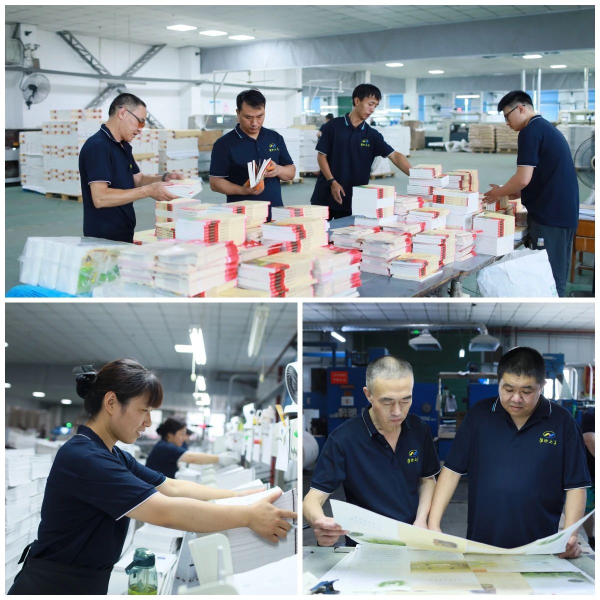 Top1����רҵ������Ѷ����������ƽ̨