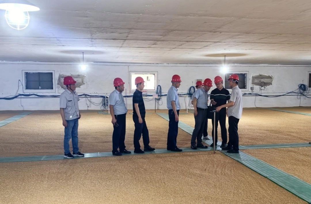 Top1����רҵ������Ѷ����������ƽ̨