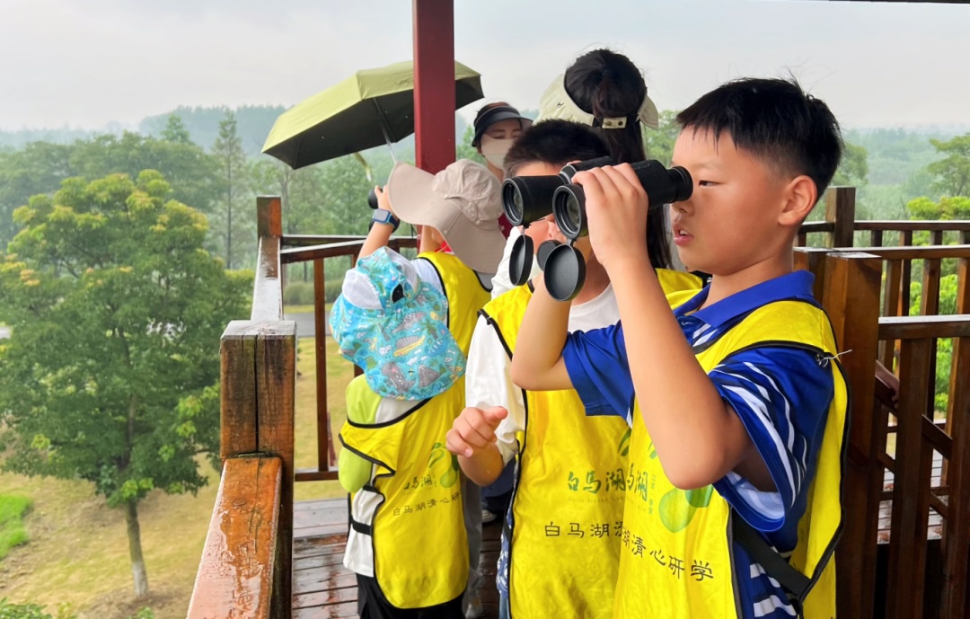 Top1����רҵ������Ѷ����������ƽ̨