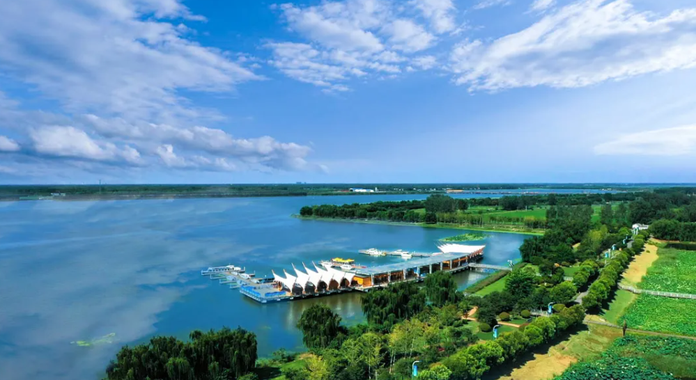 Top1����רҵ������Ѷ����������ƽ̨