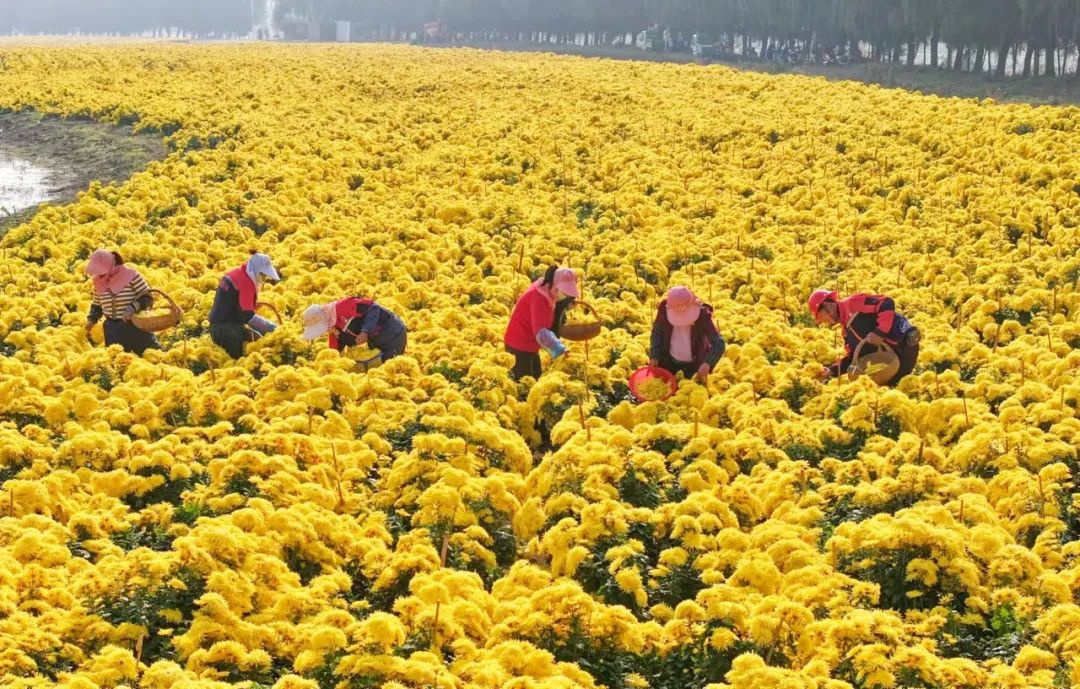 Top1����רҵ������Ѷ����������ƽ̨