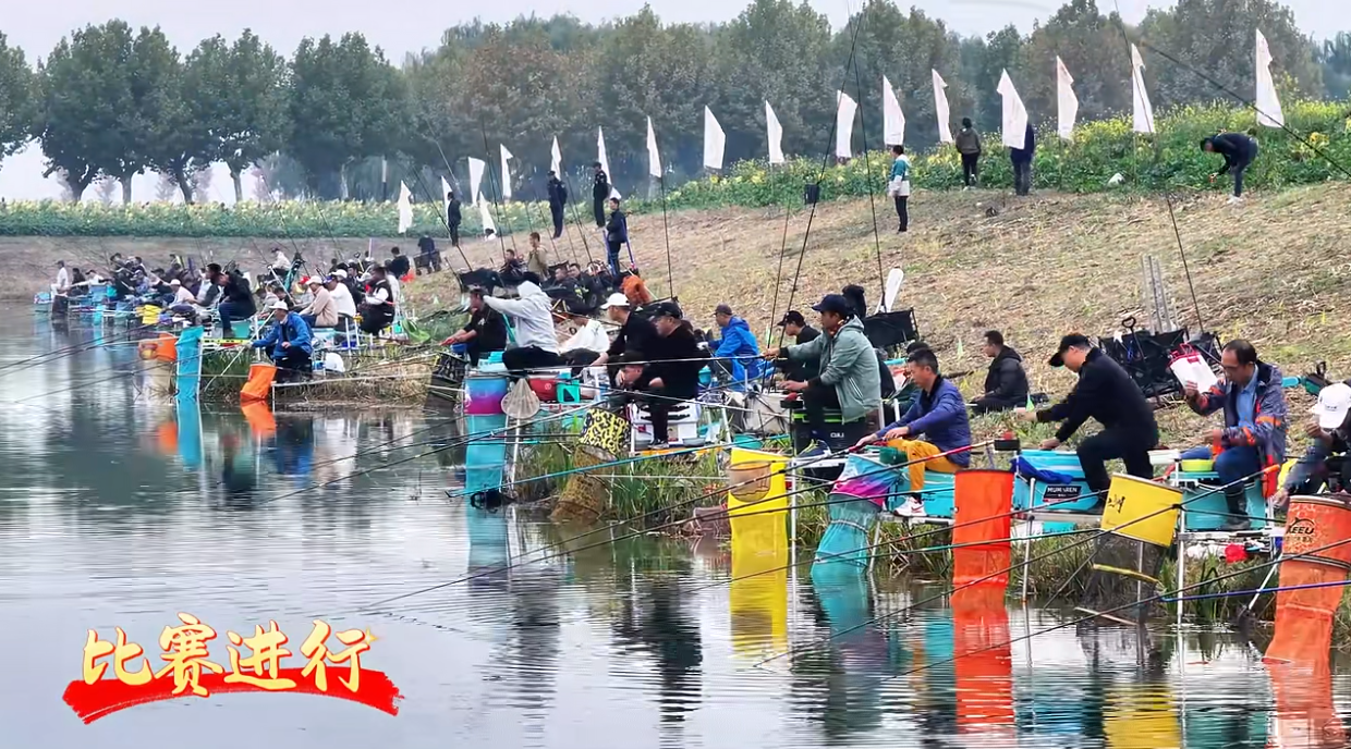 Top1����רҵ������Ѷ����������ƽ̨