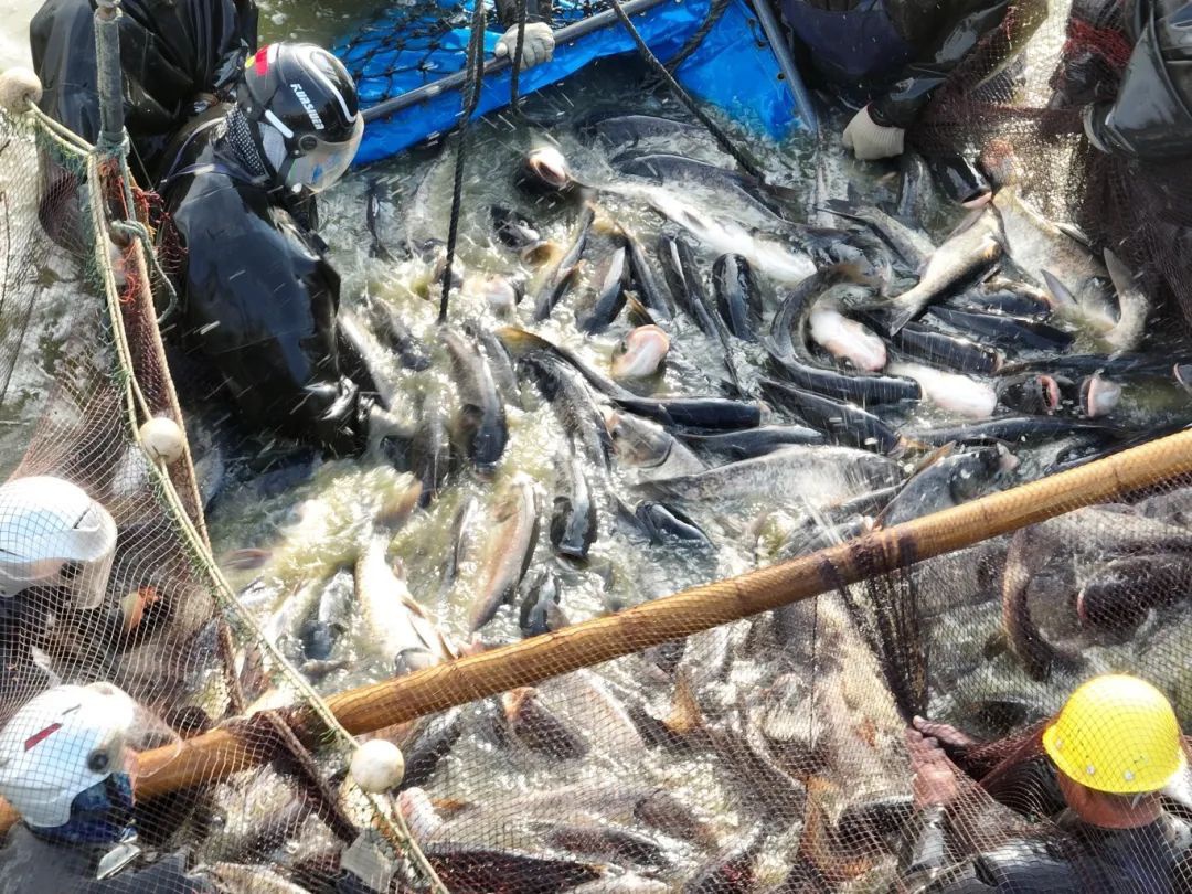 Top1����רҵ������Ѷ����������ƽ̨