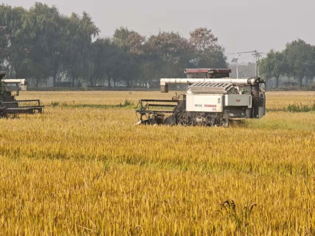 Top1����רҵ������Ѷ����������ƽ̨