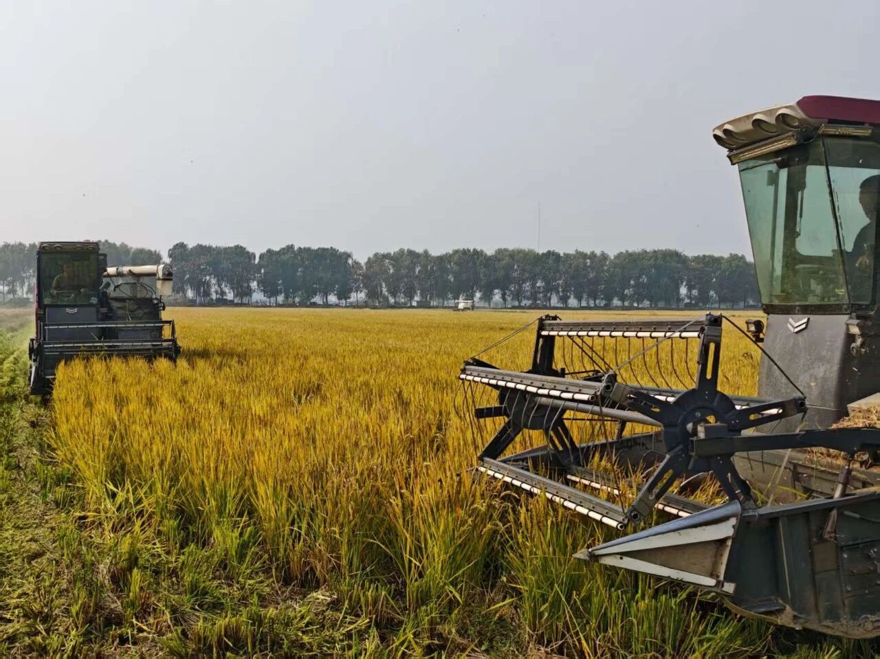 Top1����רҵ������Ѷ����������ƽ̨